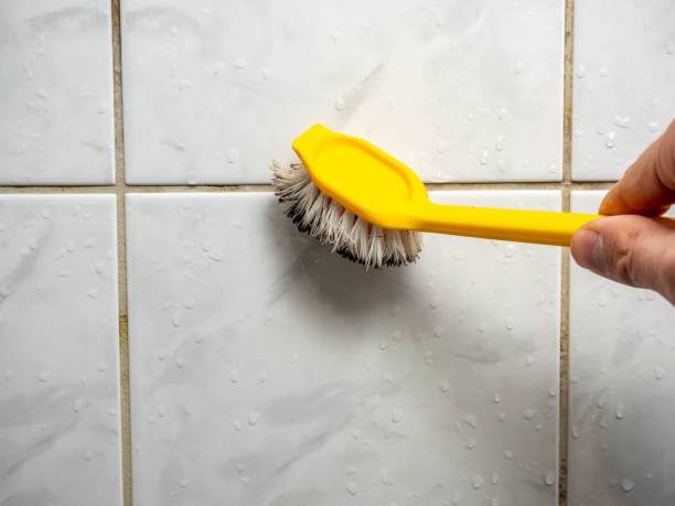 Best Toxic Mold Removal  in Woodward, IA