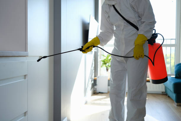 Best Home Mold Removal  in Woodward, IA