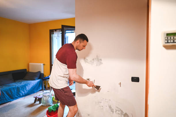 Best Affordable Mold Removal  in Woodward, IA